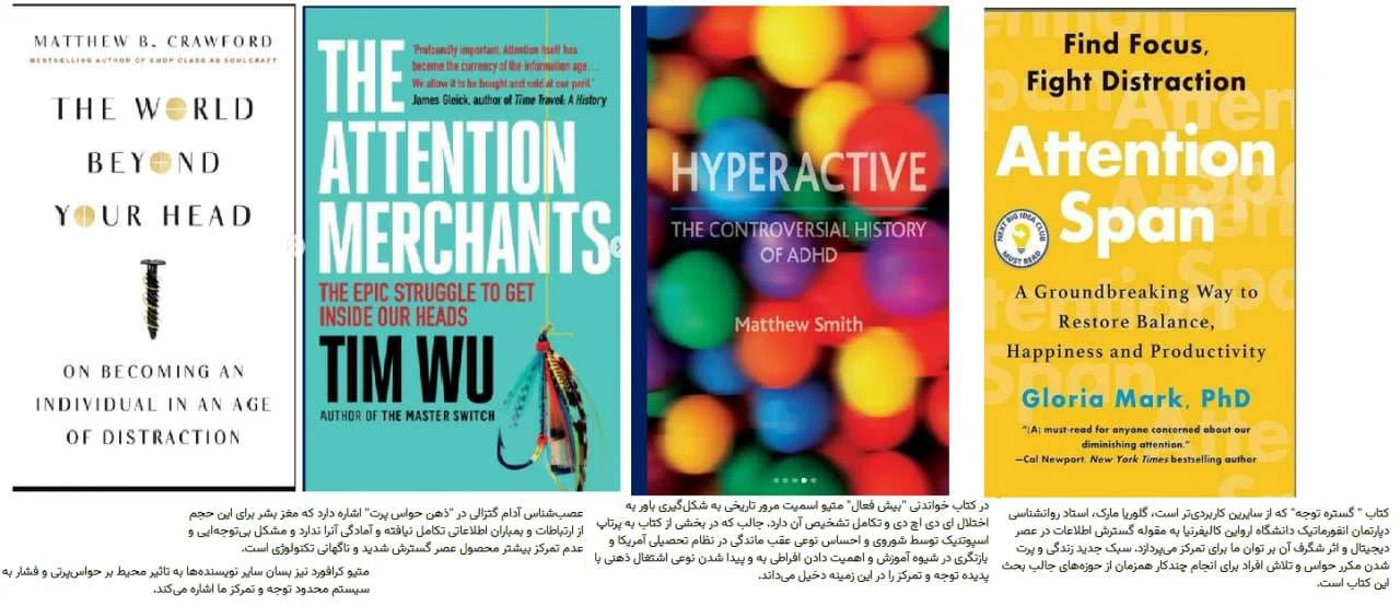 photo 2025 04 04 03 09 07