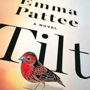 Tilt: A Novel